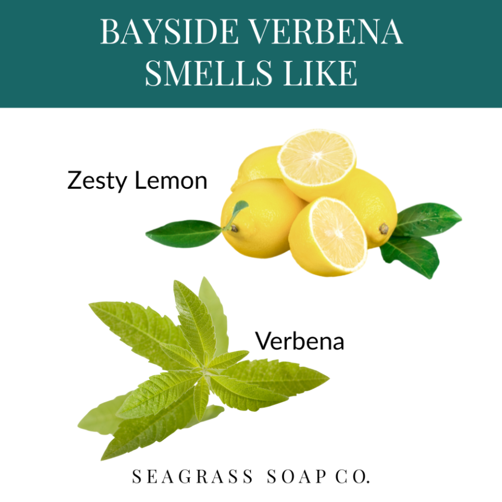 Illustration of lemons and verbena leaves with text indicating the scent of Bayside Verbena.