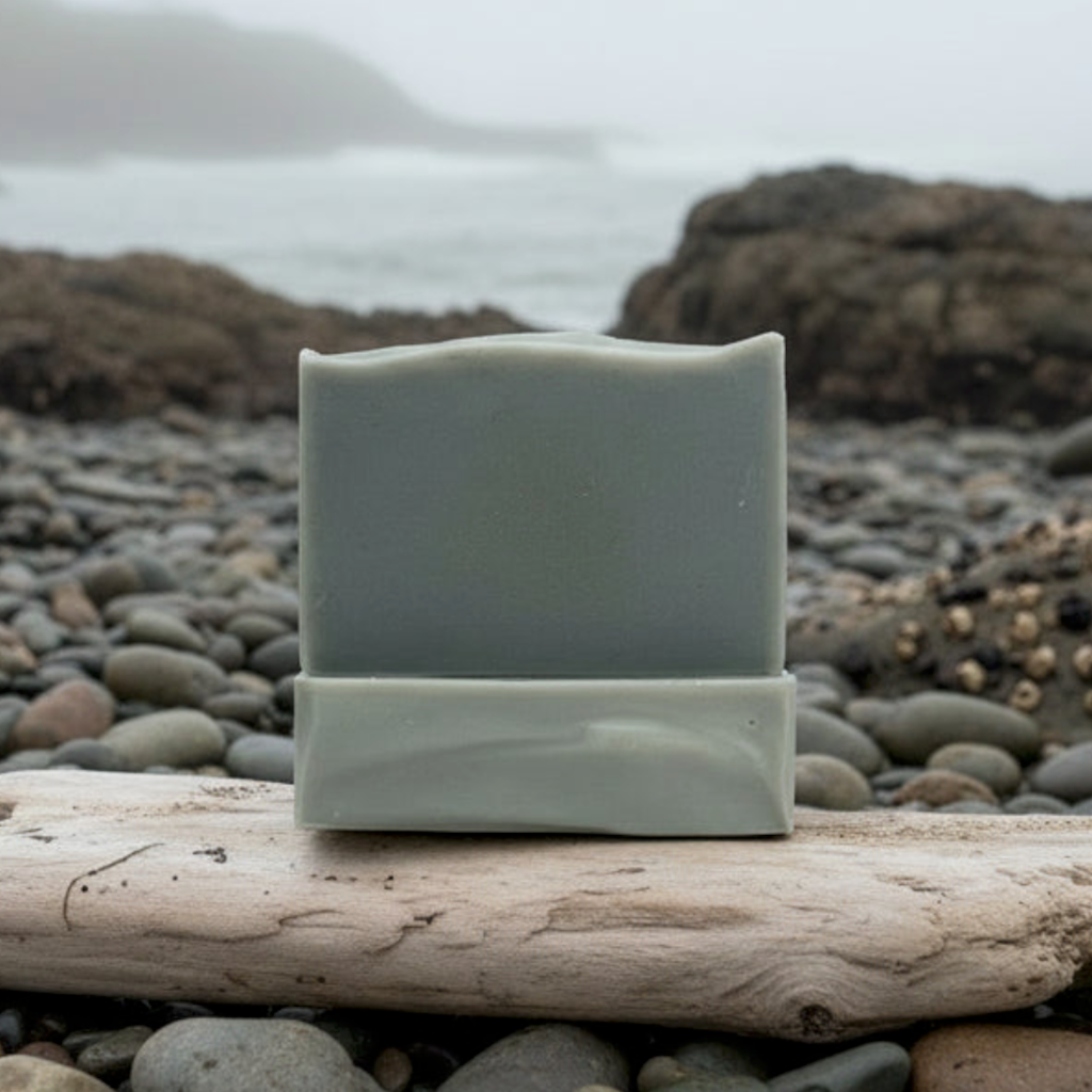 A gray bar of soap sitting on a piece of driftwood on a rocky shoreline with waves and mountain in background