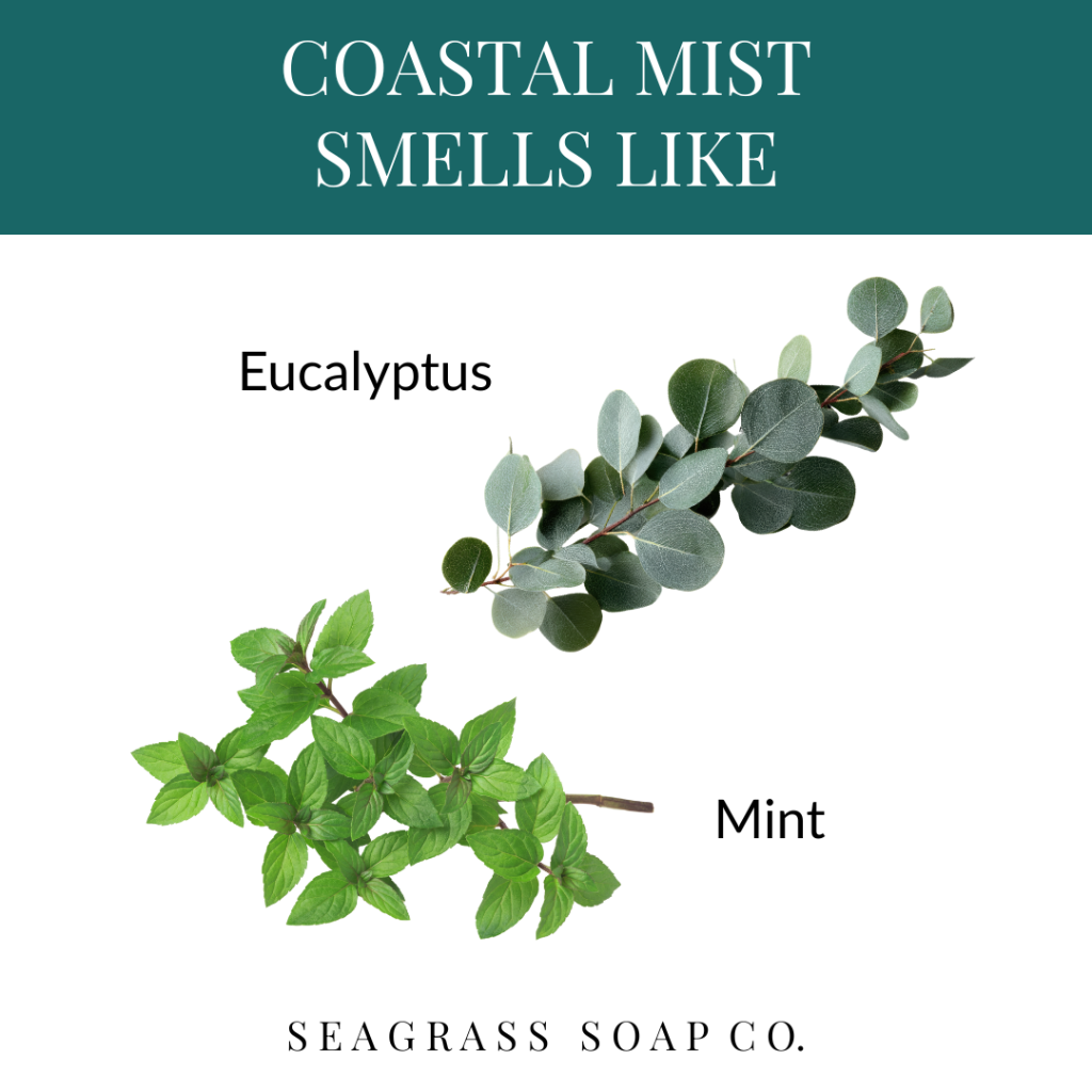 Illustration of eucalyptus and mint leaves with text indicating 'Coastal Mist Smells Like' and 'Seagrass Soap Co.'