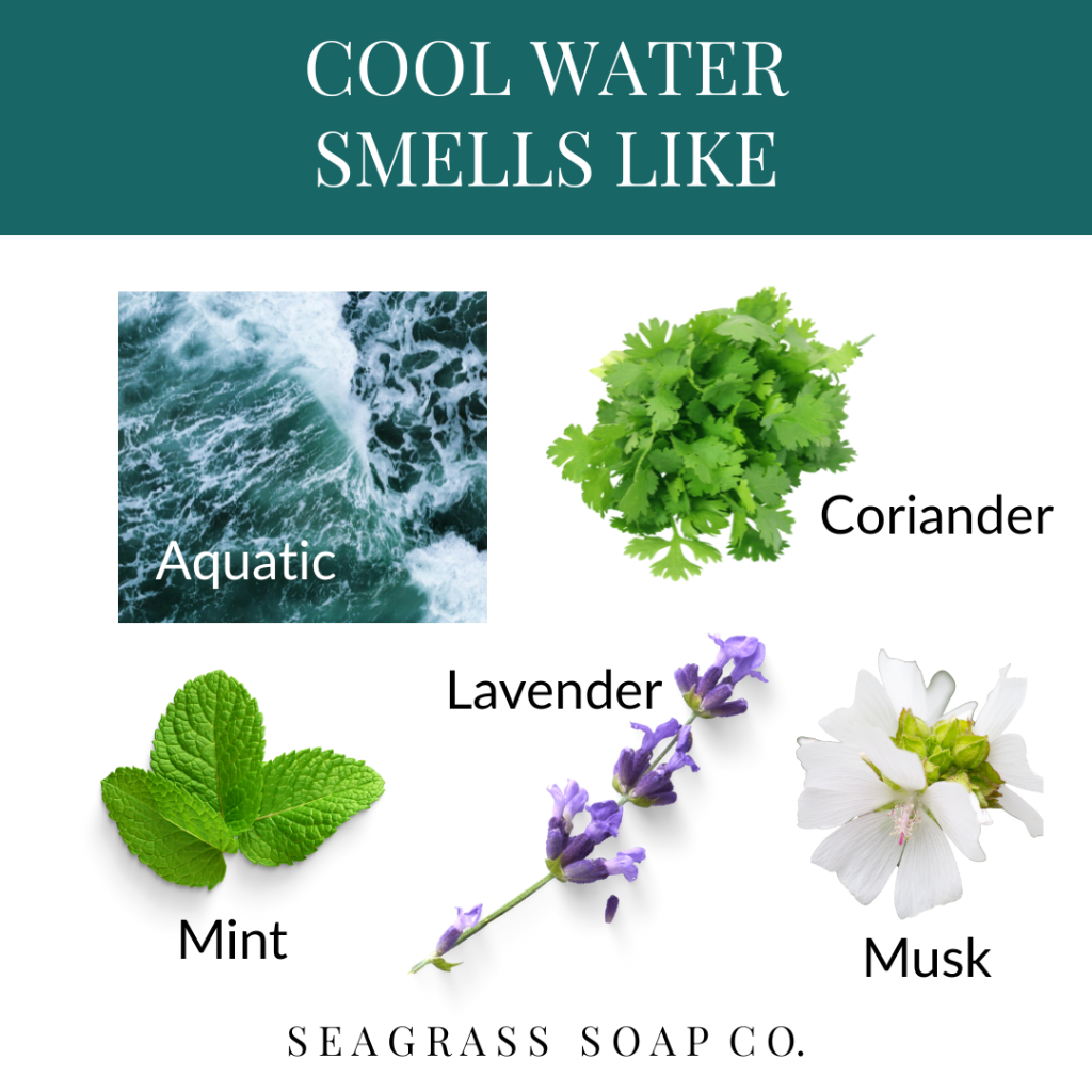 Diagram of Cool Water scent with images of scents