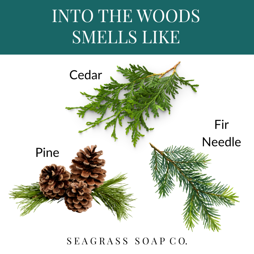 Illustration of cedar, pine, and fir needle branches with text indicating their scents and brand.